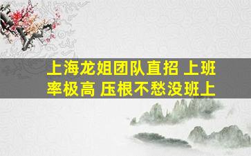 上海龙姐团队直招 上班率极高 压根不愁没班上